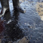 oil spill